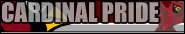 Cardinal Pride - Student Athlete Profile