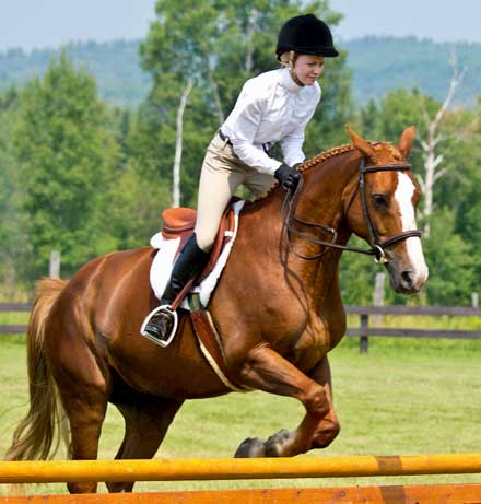 The annual Rick Smith Memorial Trillium Horse Show drew another solid crowd of equestrian fans to the Foothills Farms facility back of Chelmsford (photo by Roy Muncaster)